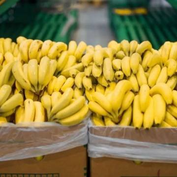 Salta solicitó a Nación una reunión para analizar la nueva normativa bananera