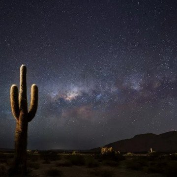 El Parque Nacional Los Cardones invita a vivir una noche única de astroturismo en los Valles Calchaquíes