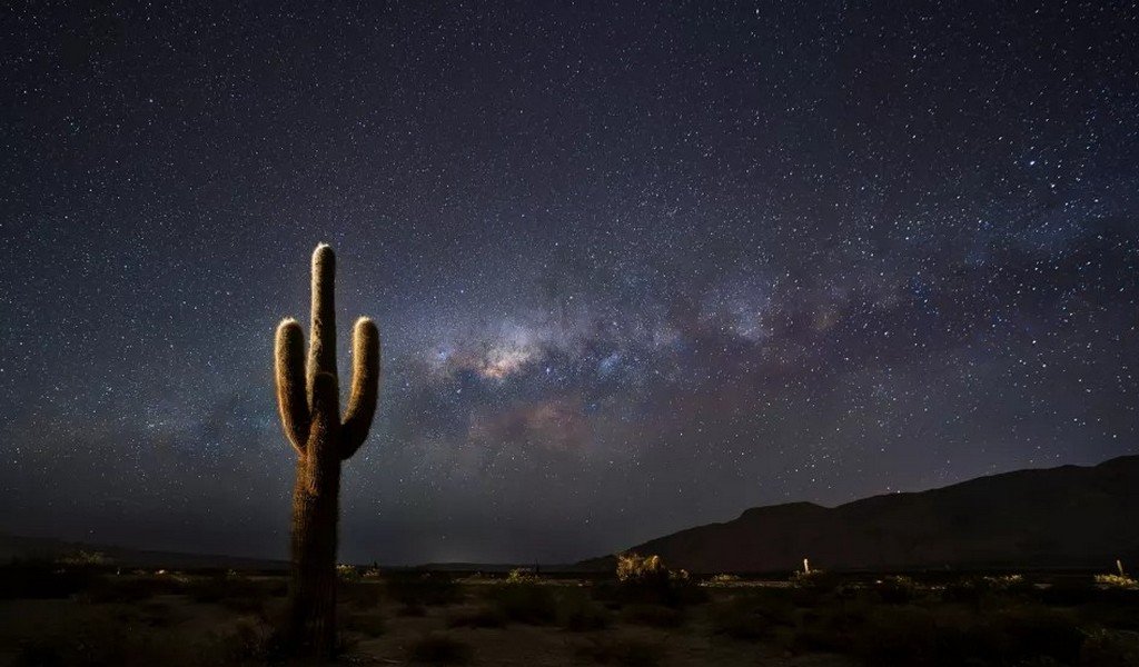 El Parque Nacional Los Cardones invita a vivir una noche única de astroturismo en los Valles Calchaquíes