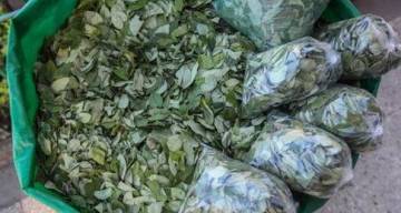 La razón por la cuál quieren subir el precio de la coca en el mercado