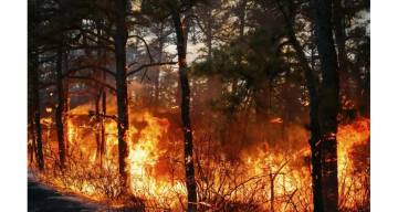 [URGENTE] Se prendió fuego un cerro en Salta: el incendio avanza y cientos de familias están en peligro