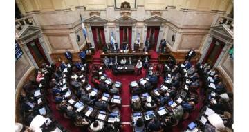 Por una amplia mayoría, el Senado aprobó la emergencia pediátrica y el aumento de los fondos al Garrahan