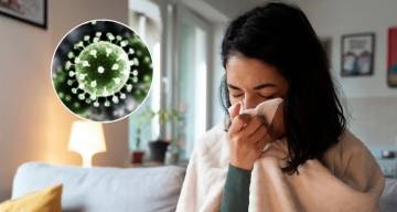 Avanza la gripe H3N2 en la región, se acerca a la Argentina y alertan por la vacunación