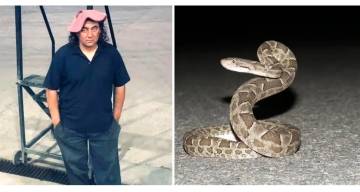 Río Negro: murió el camionero mordido por una serpiente yarará