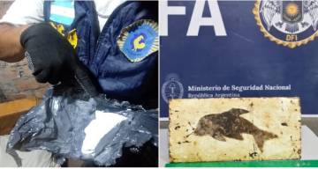 Alarma en Santiago del Estero: la cocaína con el sello del delfín ya llegó a la capital provincial