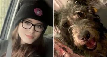 Inglaterra: una joven de 19 años murió desangrada luego de que su perra le mordiera la garganta